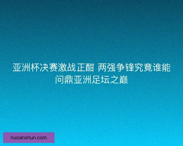 亚洲杯决赛激战正酣 两强争锋究竟谁能问鼎亚洲足坛之巅