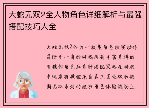 大蛇无双2全人物角色详细解析与最强搭配技巧大全