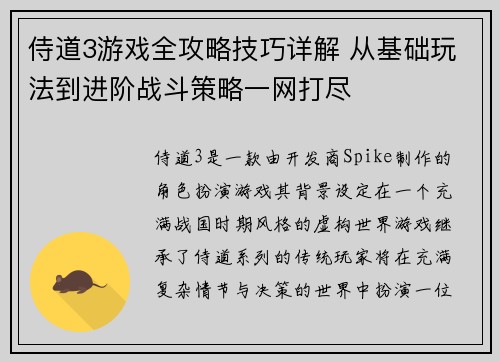 侍道3游戏全攻略技巧详解 从基础玩法到进阶战斗策略一网打尽
