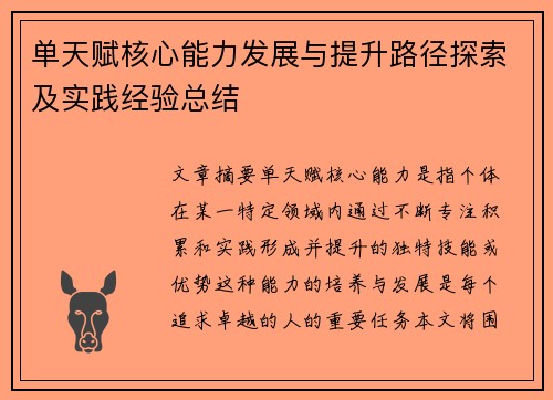 单天赋核心能力发展与提升路径探索及实践经验总结